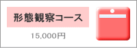 形態観察コース